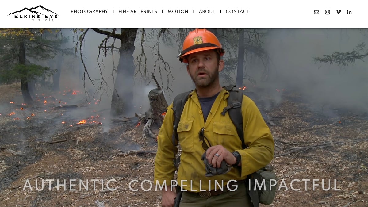 David Elkins's portfolio