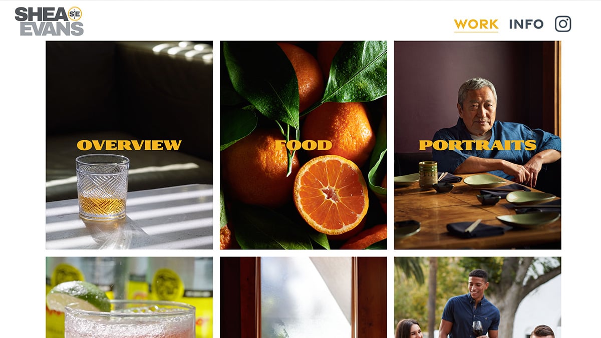 Shea Evans's portfolio