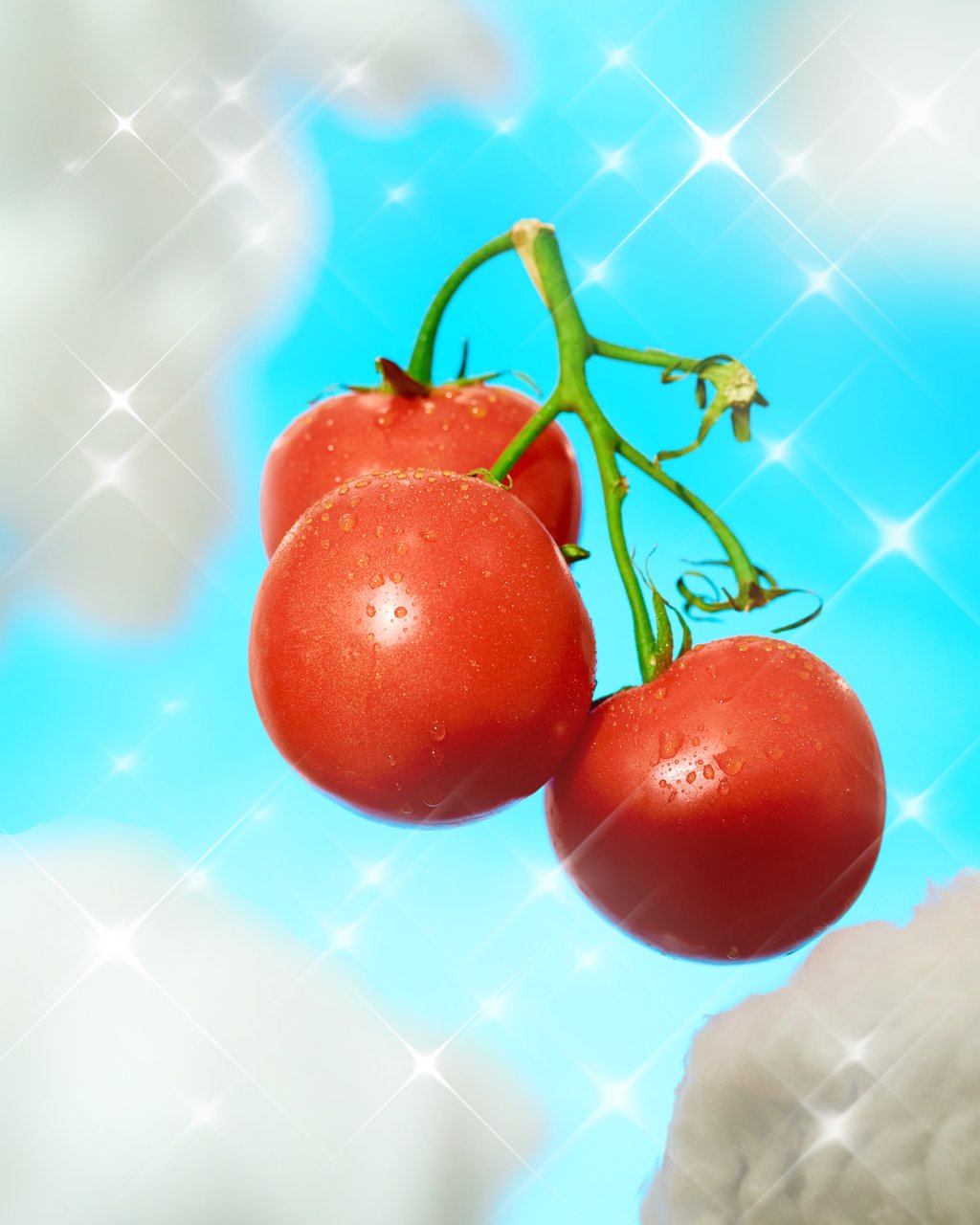 Just some juicy tomatoes hanging out in the clouds. ☁️🍅✨

Hung practically with DIY physical clouds. Shot and styled by me in my studio.
