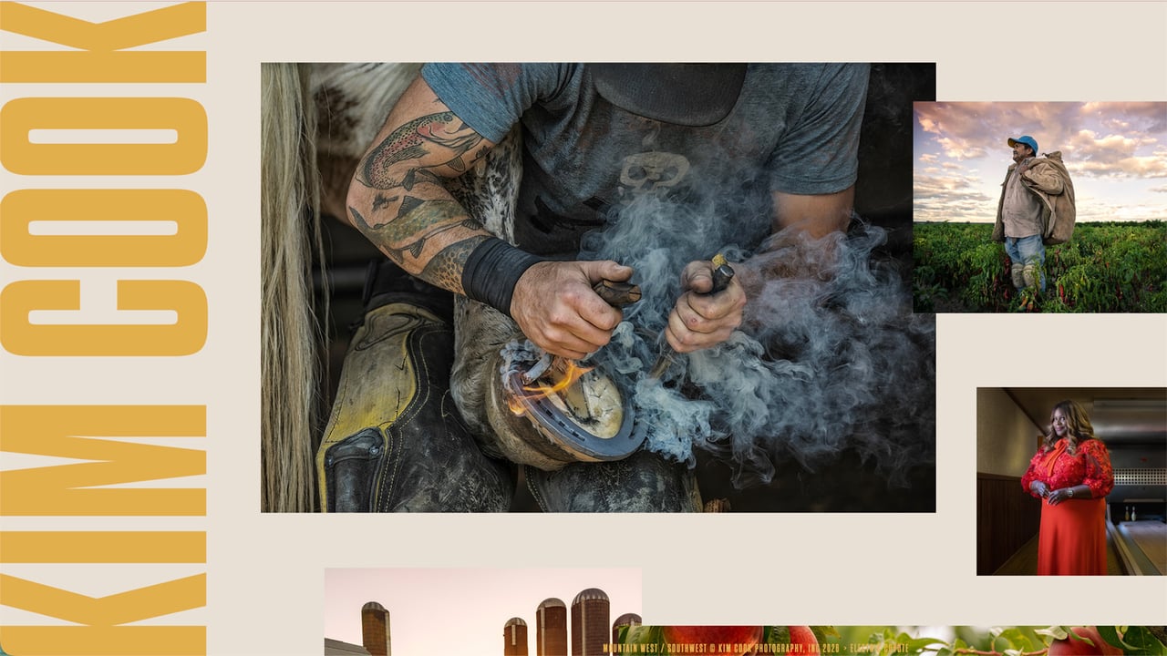 Kim Cook's portfolio