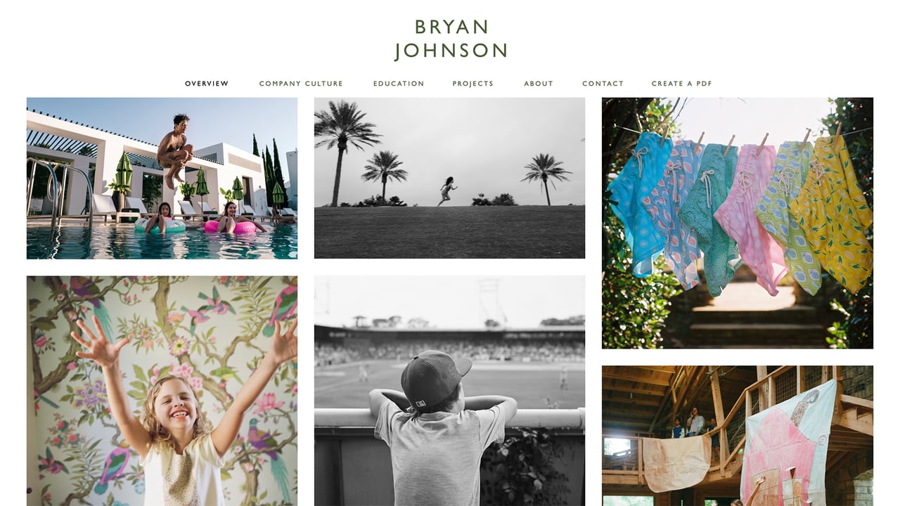 Bryan Johnson's portfolio